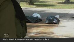 Gaza’s population faces starvation and famine, WHO warns News Clip