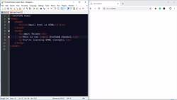 HTML Tutorial for Beginners(2022) - Create Small Font Instructional Video