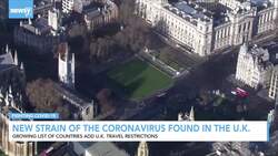 New Strain Of The Coronavirus Found In The U.K. News Clip