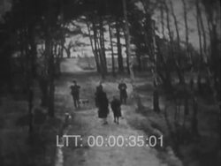 Family Countryside Outing, 1920s Stock Footage