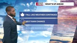 Sunny and pleasant Sunday in Brooklyn News Clip