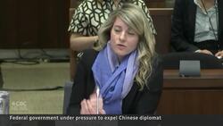MP calls for Chinese diplomat to be expelled News Clip