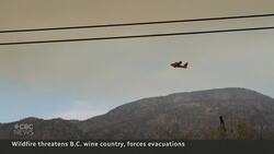 Hundreds flee B.C. town as 2 wildfires merge over the Canada-U.S. border News Clip