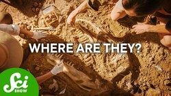 Why Don't We Have More Fossils? Instructional Video