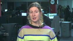 Former city councilor Robin Williams testifies in his defence as trial continues News Clip