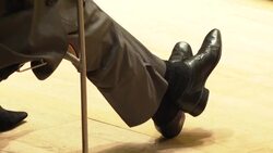 CLEAN : Austria: Concert honours composer Friedrich Cerha's 95th birthday News Clip