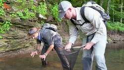 Does the Mudpuppy Bark? Instructional Video