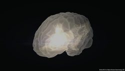 Lisa Mosconi: How menopause affects the brain Instructional Video