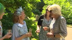 Battersea Dogs And Cats Home at Clarence House News Clip