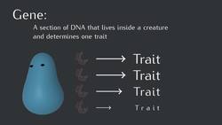 Your Genes are Selfish Instructional Video