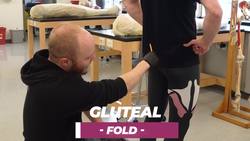Exploring the Anatomy and Function of Gluteal Muscles Instructional Video
