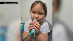 Seven days on the loose in Iqaluit: lost budgie returns home safely News Clip