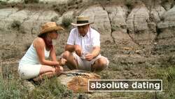 The History of Life Instructional Video