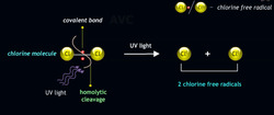 Mastering Reagents: Electrophiles, Nucleophiles and Free Radicals Instructional Video