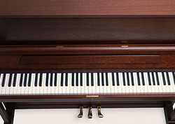 Octave Instructional Video