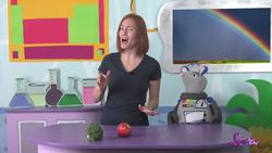 Our Favorites | Compilation Instructional Video