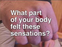 Senses: Receptors in the Skin Instructional Video