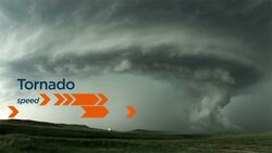 Vectors 24 Instructional Video