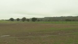 CLEAN : Foie gras production takes a hit as France locks down poultry amid bird flu risk News Clip