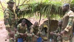 CLEAN : FILE: Senegal's army offensive mission in southern Casamance region News Clip
