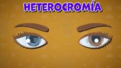 I WONDER - Can You Have Different Coloured Eyes?
 Me Pregunto - Puedes Tener Ojos De Diferentes Colores? Instructional Video
