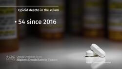 Yukon’s coroner pleads for help after record opioid deaths News Clip