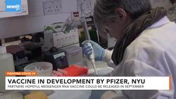 Pfizer, NYU Developing COVID-19 Vaccine With Hopeful September Release News Clip