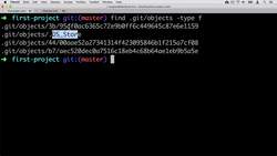 Complete Git Guide: Understand and Master Git and GitHub - Examining Tree Object Instructional Video