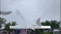 New bill would give workers 10 days of bereavement if they lose a loved one to gun violence News Clip