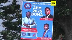 Malawi's former president, Peter Mutharika, takes an early lead against incumbent, Lazarus Chakwera News Clip