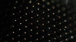 Biological Vectors and Infectious Diseases Instructional Video