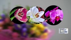 The Real Deal: Why waiting on ordering flowers for Valentine’s Day can cost you News Clip