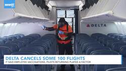 Delta Airlines Cancels Around 100 Flights News Clip