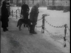 EDIT German Revolution 1919, Wilhelm II in exile, Philipp Scheidemann proclaims German Republic, ceasefire in France, happy soldiers, end of WW1 Stock Footage