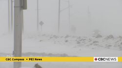 Need a boost? More Islanders are asking for help getting their vehicles started this winter News Clip