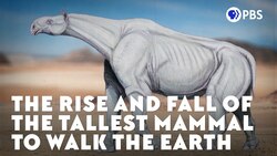 The Rise and Fall of the Tallest Mammal to Walk the Earth Instructional Video