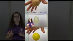 Buoyant Force Demonstrated: Three Objects in Water Instructional Video