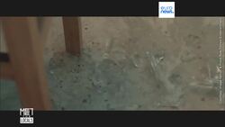 A passion for independent film: Rami Yasin News Clip