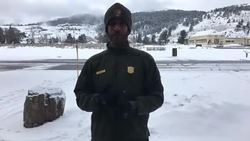Yellowstone National Park - Winter Adaptations Instructional Video