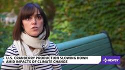 Making Cranberries More Resilient To Climate Change News Clip