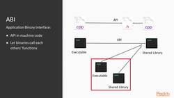 Multi-Paradigm Programming with Modern C++ - Application Binary Interface Instructional Video