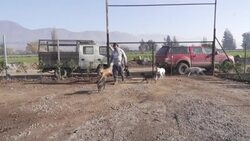 CLEAN : Chile's 33: A decade later, 'Super' Mario Sepulveda feels like a fallen hero News Clip