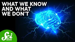 Why Do Antidepressants Cause Brain Zaps? Instructional Video