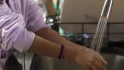 Florida mother considers self-deportation amid fears over immigration policies News Clip