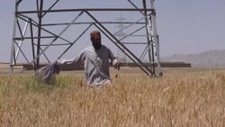 CLEAN : Farmers battle locust invasion in Baluchistan News Clip
