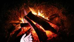 Cell Communication: Hormones and Neurotransmitters Instructional Video