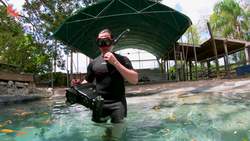 JAWS! Swimming with Gators! Instructional Video