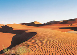 Desertification Instructional Video