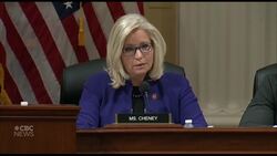 Cheney says Bannon's claim of privilege makes no sense News Clip