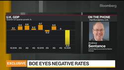 Negative Interest Rates Do More Damage Than Good: Sentance News Clip